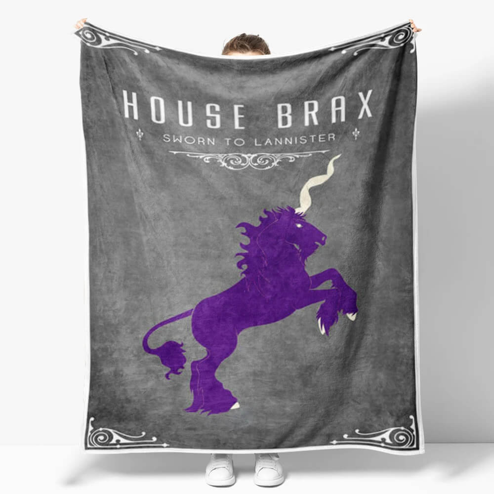 House Brax cozy flannel fantasy blanket for couch